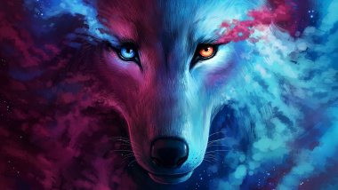 Wolf Wallpaper ID:3822