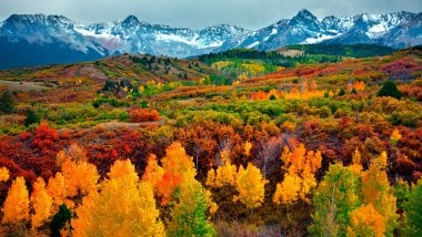 Montañas y bosque en otoño Fondo de pantalla