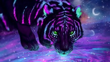 Tiger Wallpaper ID:4673