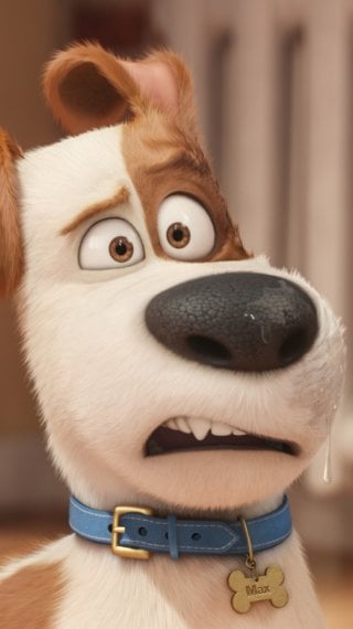 Max from The Secret Life of Pets Wallpaper