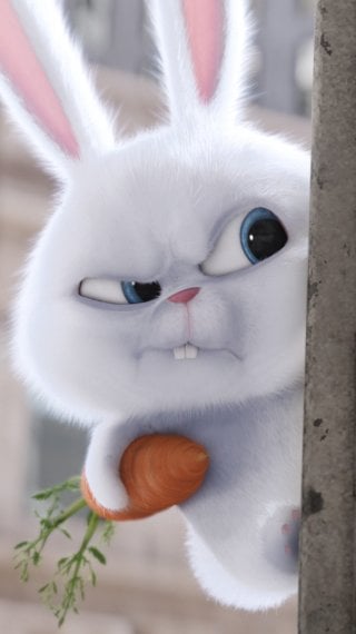 Snowball from The Secret Life of Pets Wallpaper