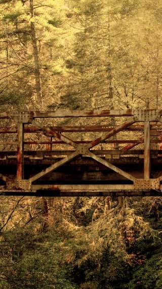 Puente en bosque de otoño Fondo de pantalla
