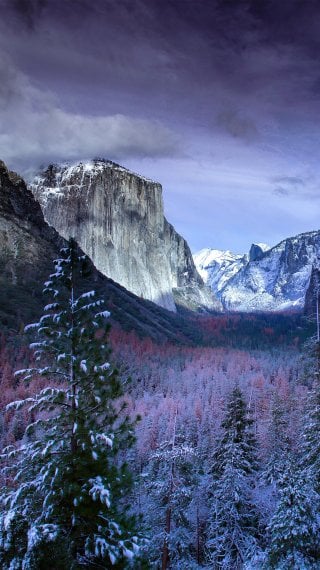 Yosemite during winter Wallpaper