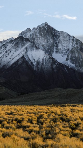 Mountain with snow in the summer Wallpaper