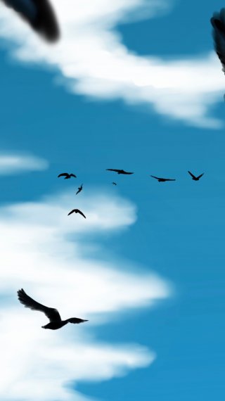 Aves volando en el cielo Fondo de pantalla