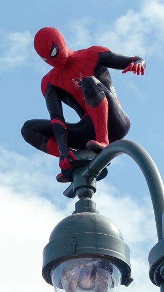 Spider Man on lamppost Wallpaper
