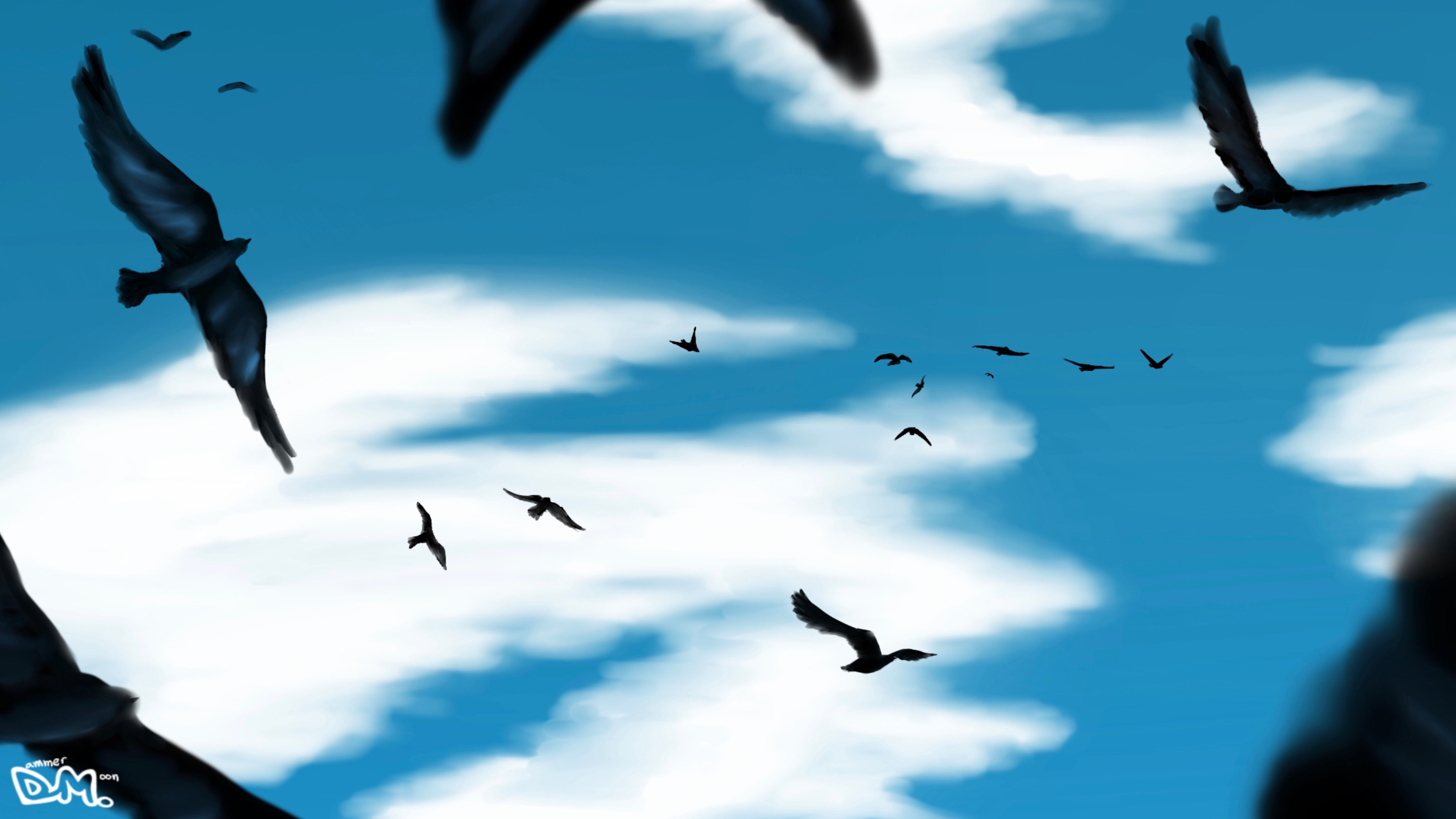 bird flying in the sky wallpaper